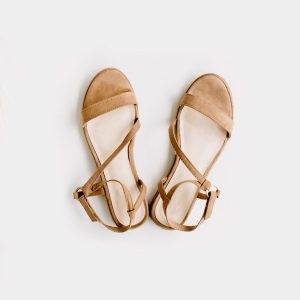 Brown Sleeper